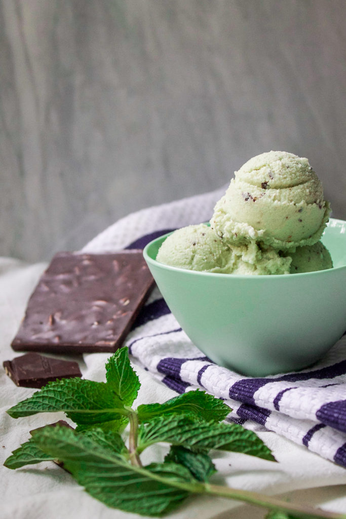 No Churn Dairy Free Mint Chip Ice Cream