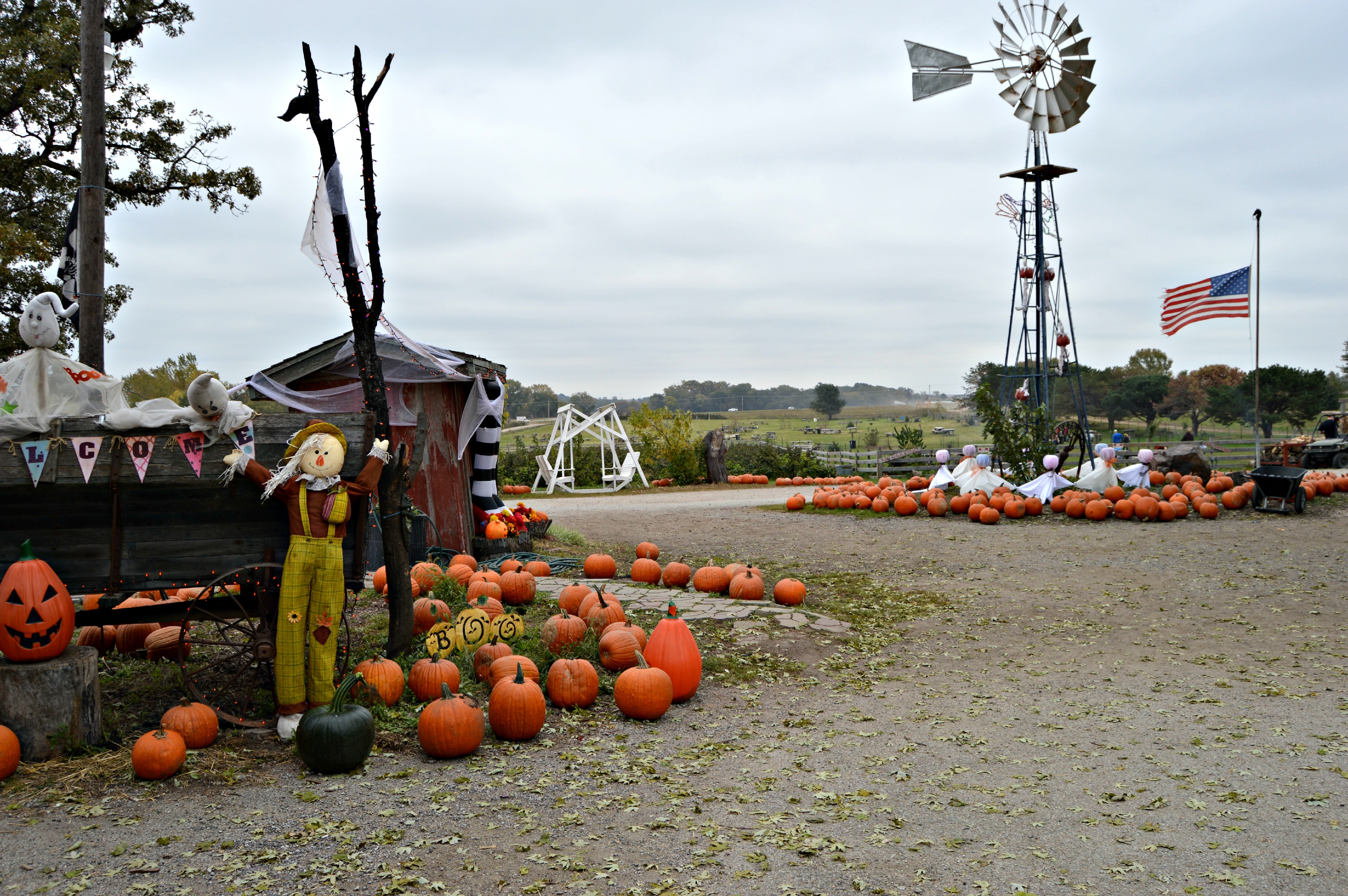 The Perfect Fall Afternoon Pumpkin Picking and Carving Clean Eating