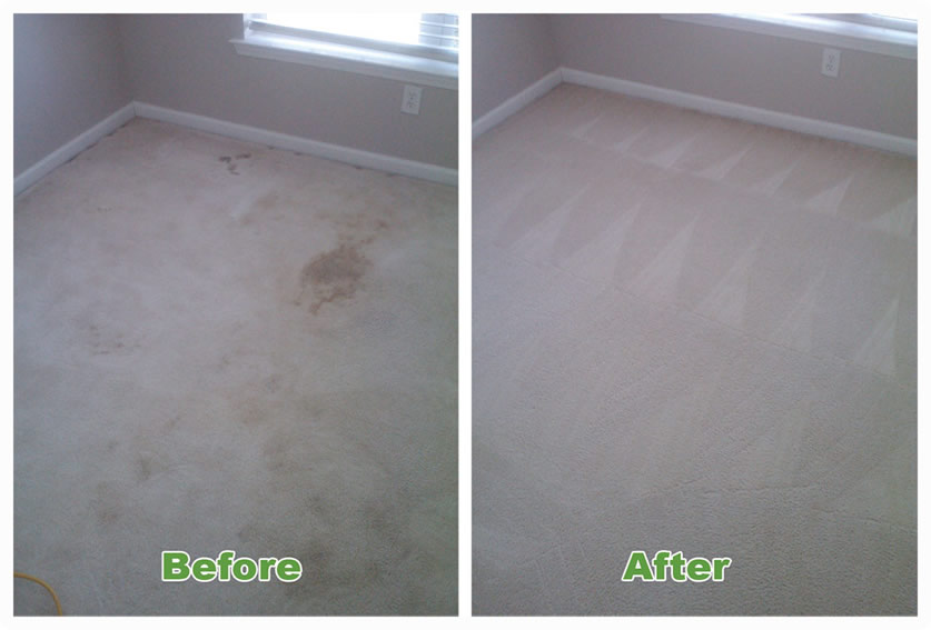 Carpet Cleaning Service Professional Carpet Cleaner For Deep Cleaning