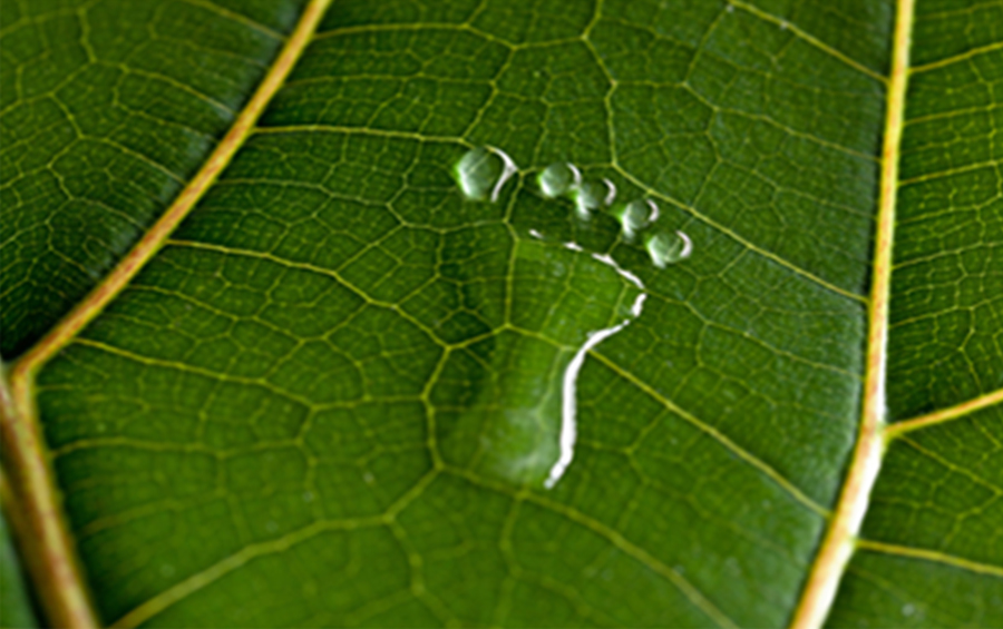 Toprated Carpet Cleaning And Washing In Concord NC And Surrounding