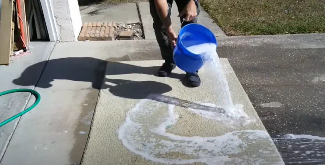 How to Clean an Area Rug on a Hardwood Floor? CleanerProfy