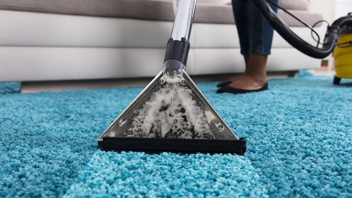 How to Use Rug Doctor Pro? CleanerProfy