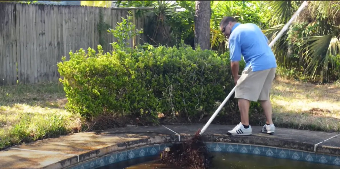 How to Clean a Green Pool in 24 Hours? CleanerProfy