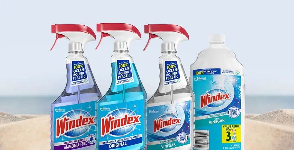 How to Clean Vinyl Records With Windex? CleanerProfy