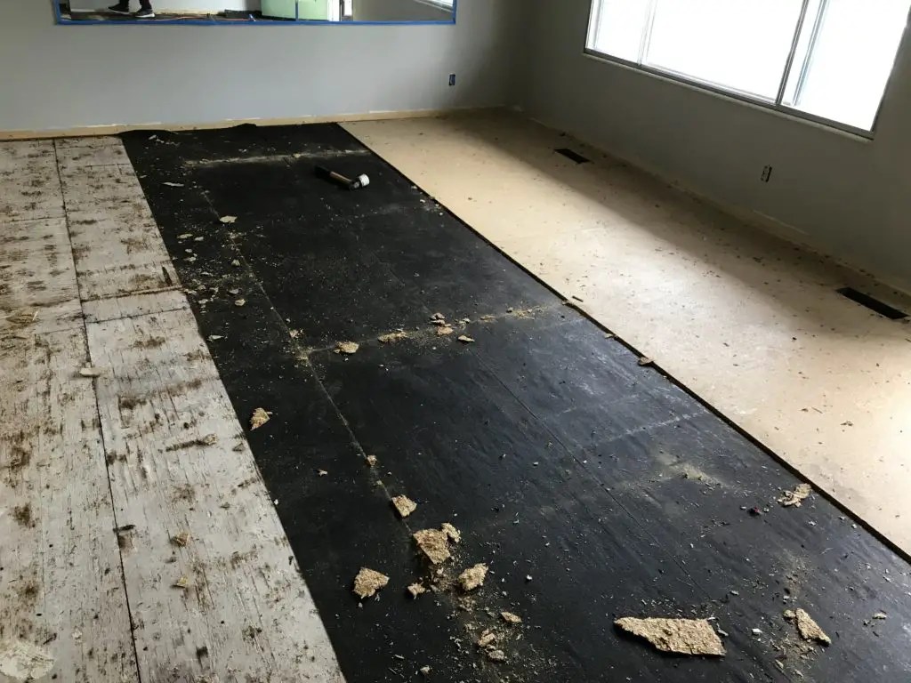 How to Clean Subfloor After Removing Carpet? CleanerProfy