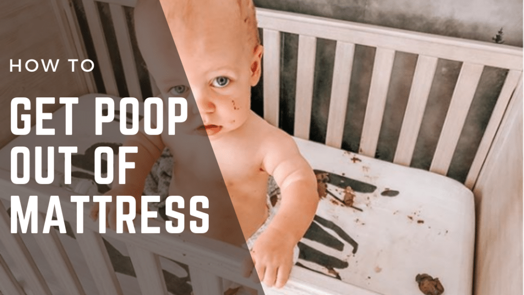 How to Get Poop Out of Mattress 7 Steps for a StainFree Mattress
