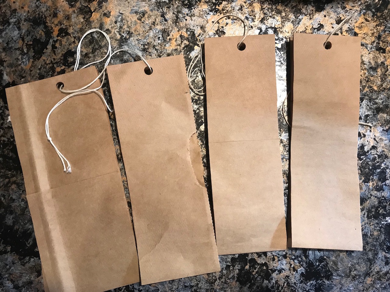 DIY Fly Paper A Chemicalfree Solution Elyse Moore