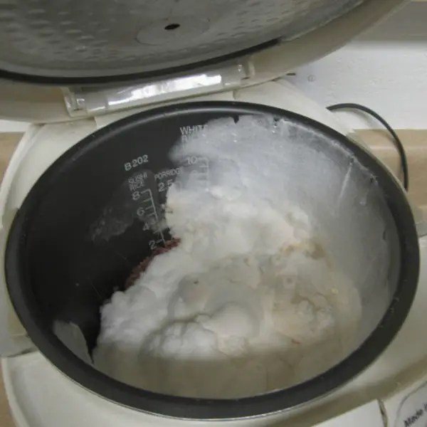 How To Clean The Moldy Rice Cooker? Cleanestor