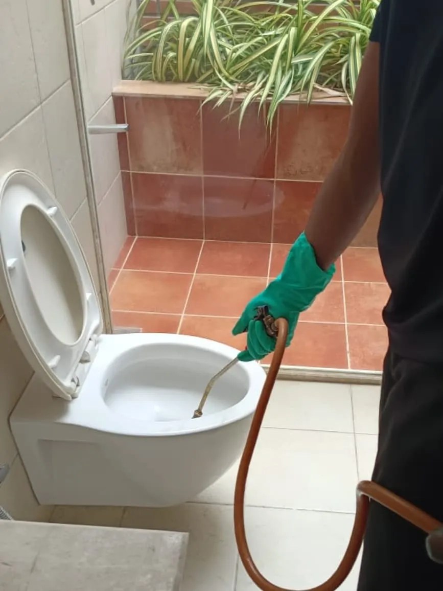 Pest Control Services Bangalore Apartments/Villas Clean Fanatics