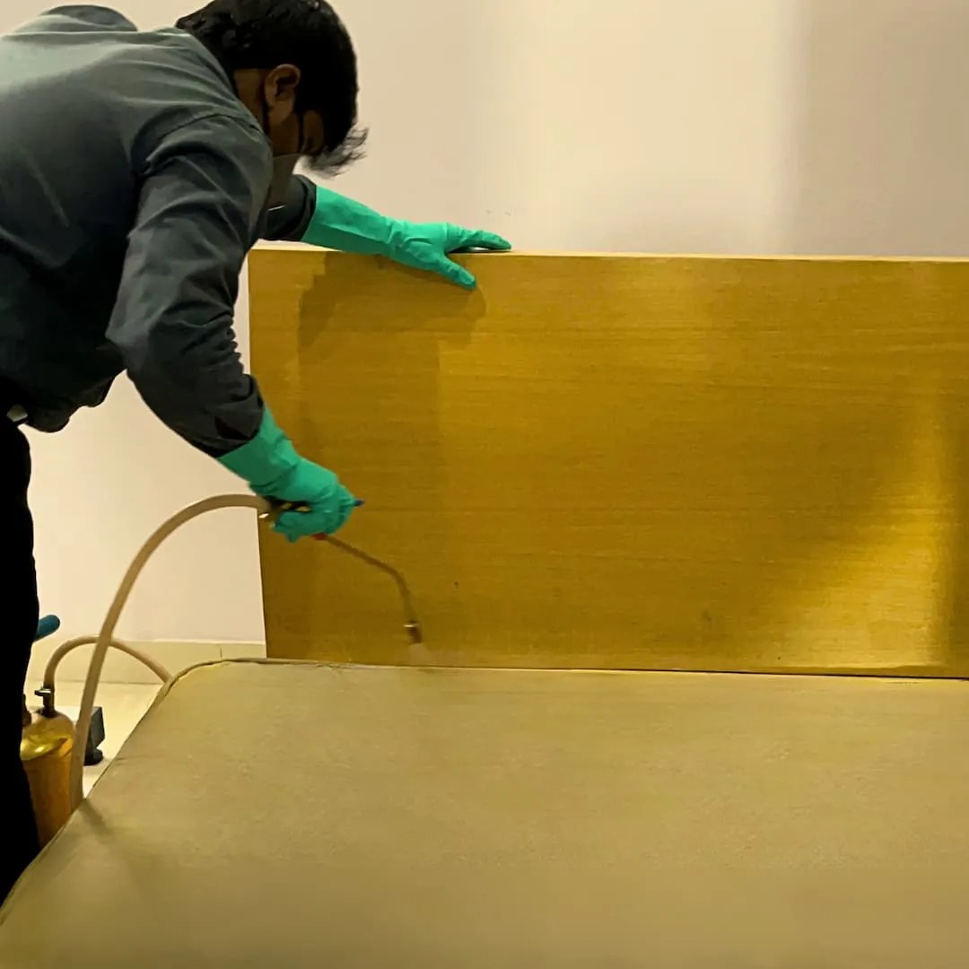 Bed Bug Treatment In Bangalore Clean Fanatics