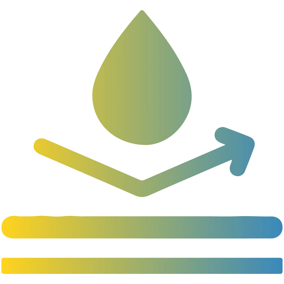 House Painting Services in Bangalore Clean Fanatics