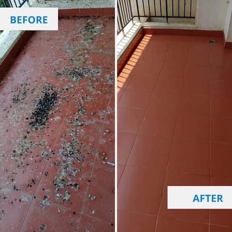 Balcony Cleaning Services in Bangalore Clean Fanatics