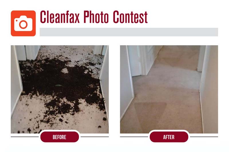 How To Clean Extremely Soiled Carpet