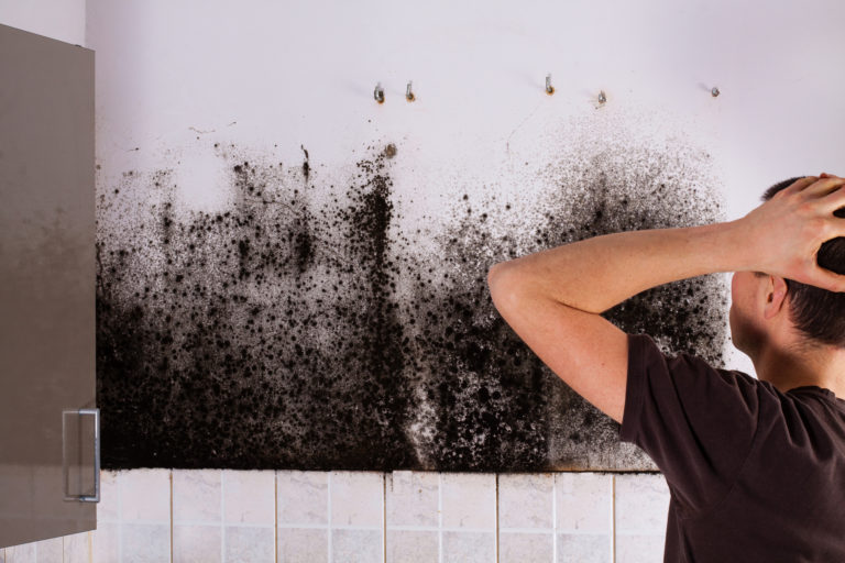 10 Common Causes of Mold in Homes CleanFirst Restoration