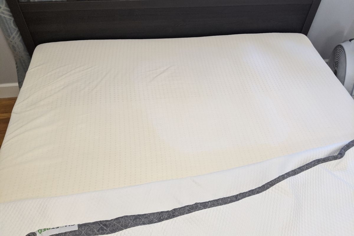 How To Get Dry Urine/Pee Out Of A Memory Foam Mattress Without Vinegar