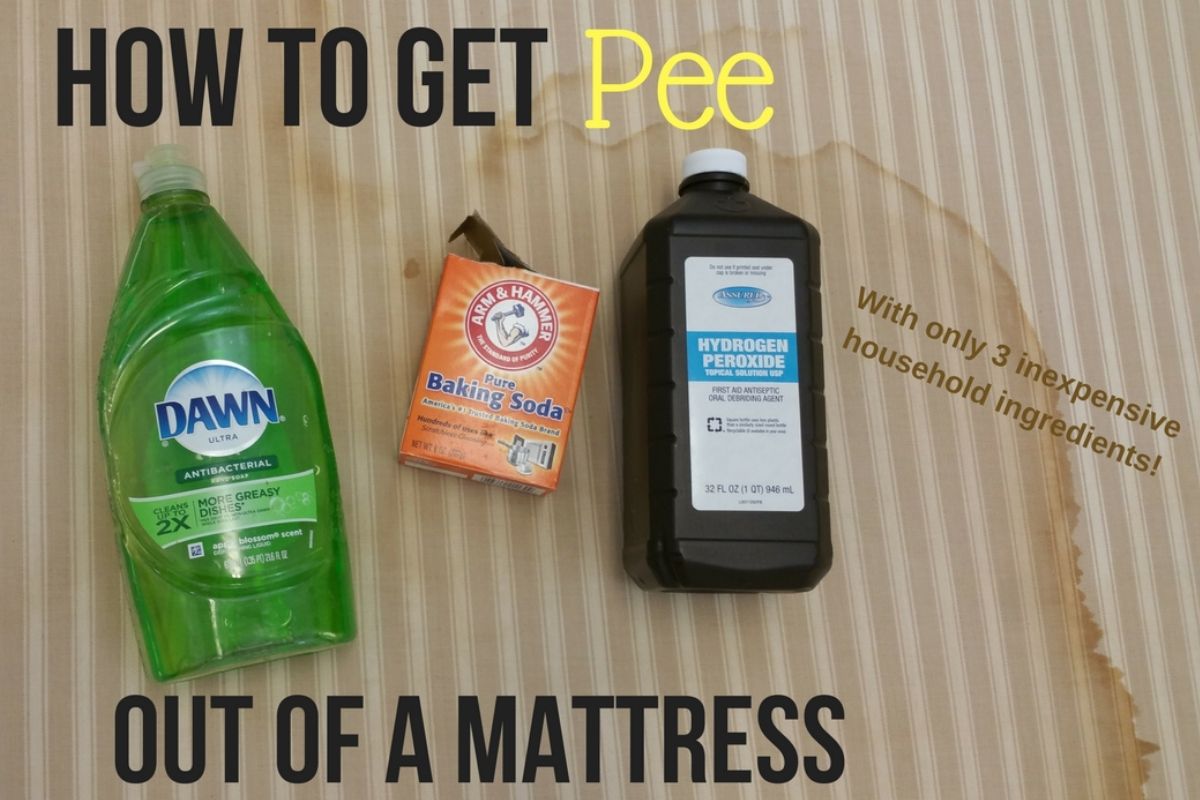 How to Get Pee Out of a Mattress in 5 Easy Steps!!! Clean Freak
