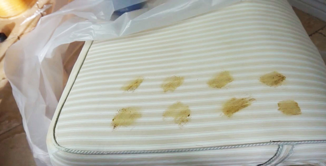 How to Get Poop out of Mattress. Tested Method that Works