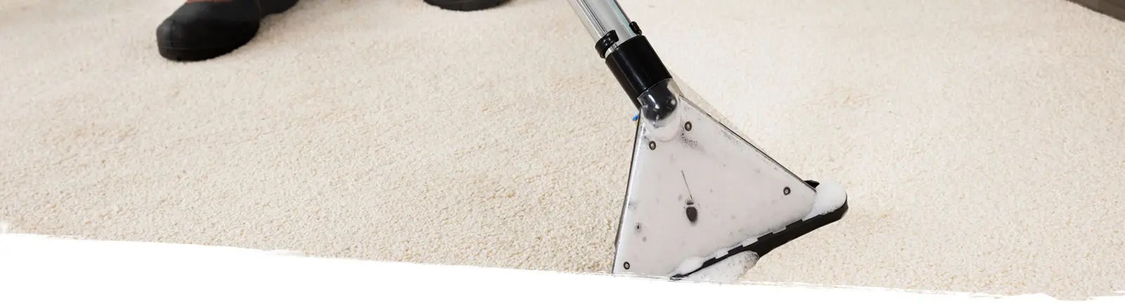 Carpet Cleaning Ottawa Commercial Steam Cleaning Clean Freaks