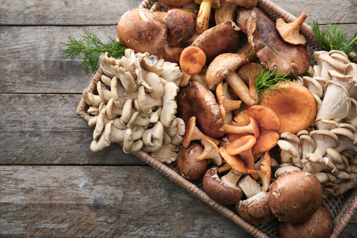 39 Different Types of Edible Mushrooms Clean Green Simple