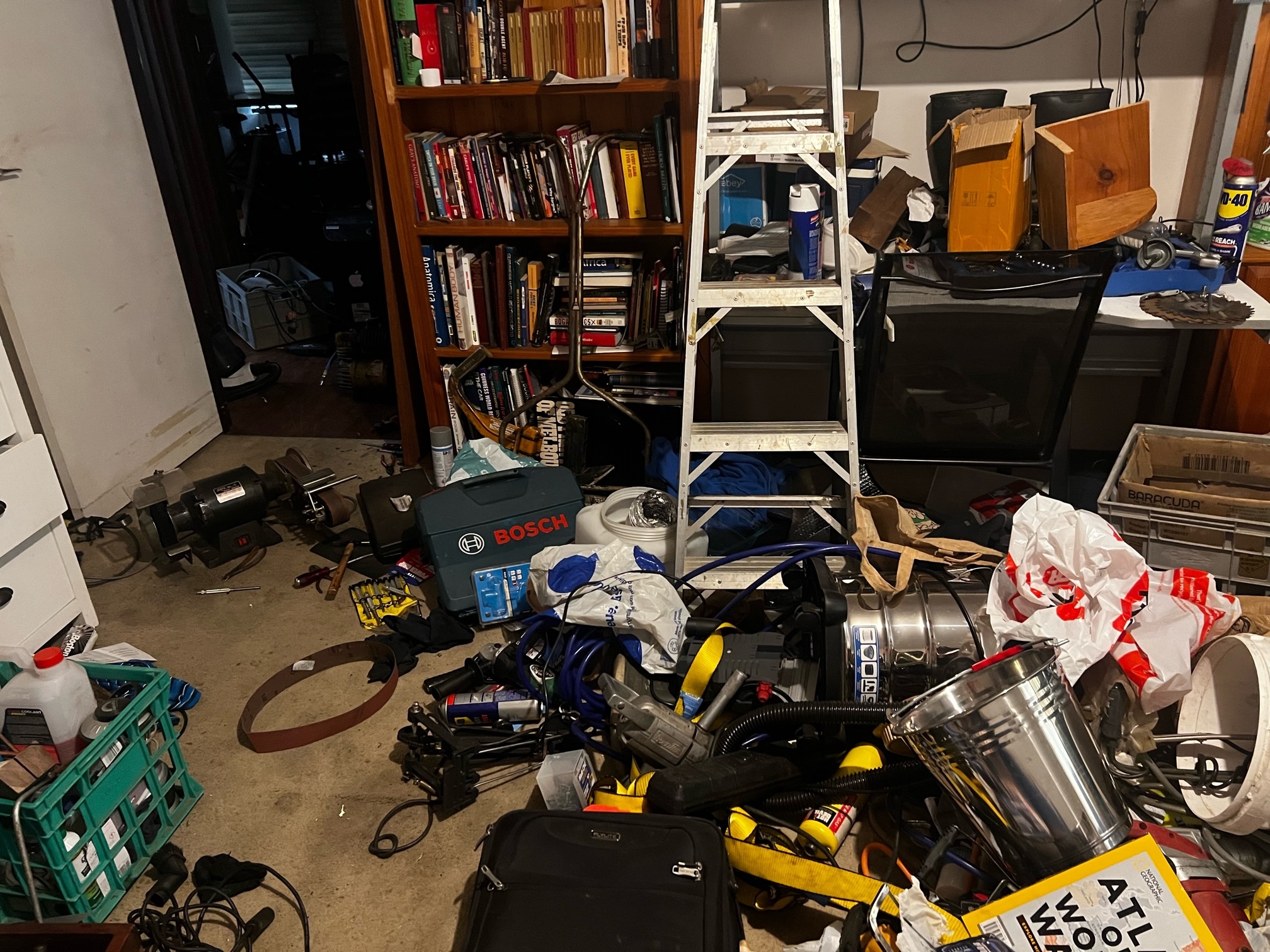 Essential Guide to Hoarding Cleaning Steps and Strategies for Success