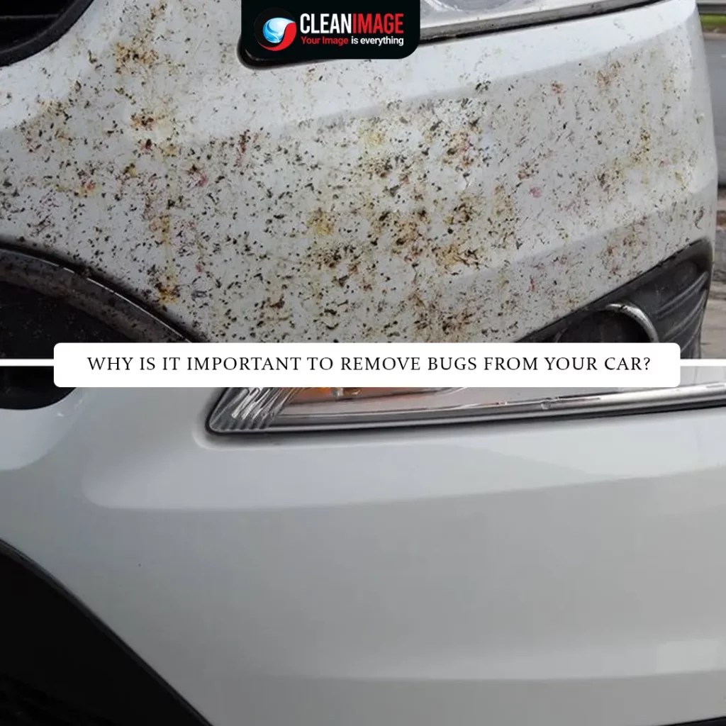 Effective Ways to Remove Bugs from Your Car Car Care Tips