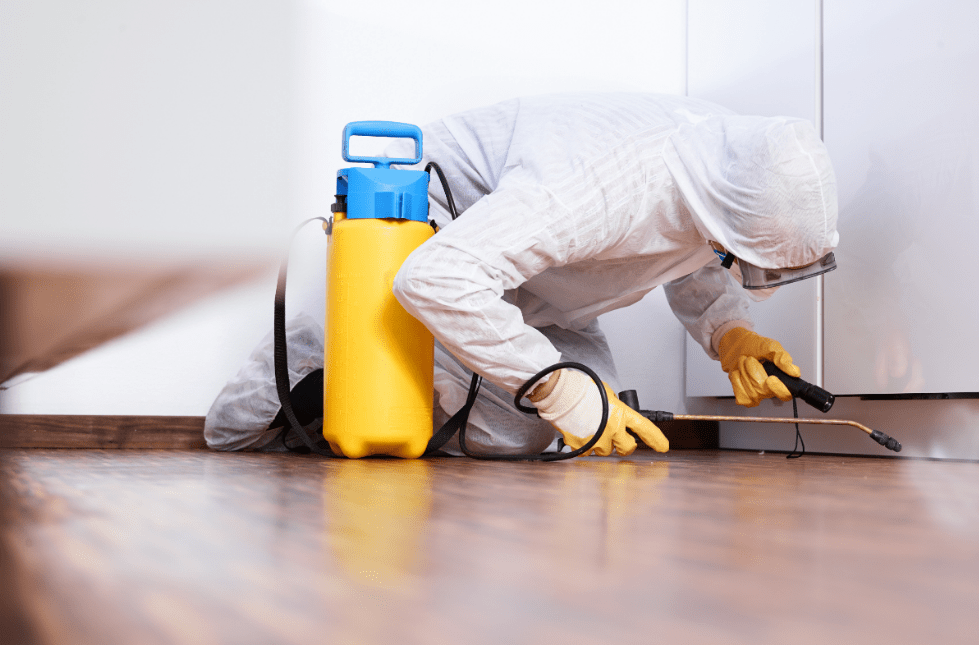 Pest Management Best Pest Control Victoria 2021