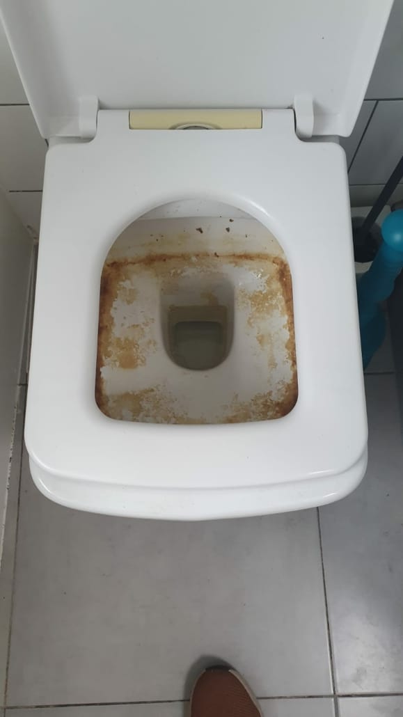 How to remove limescale from toilet bowl Cleaning Express