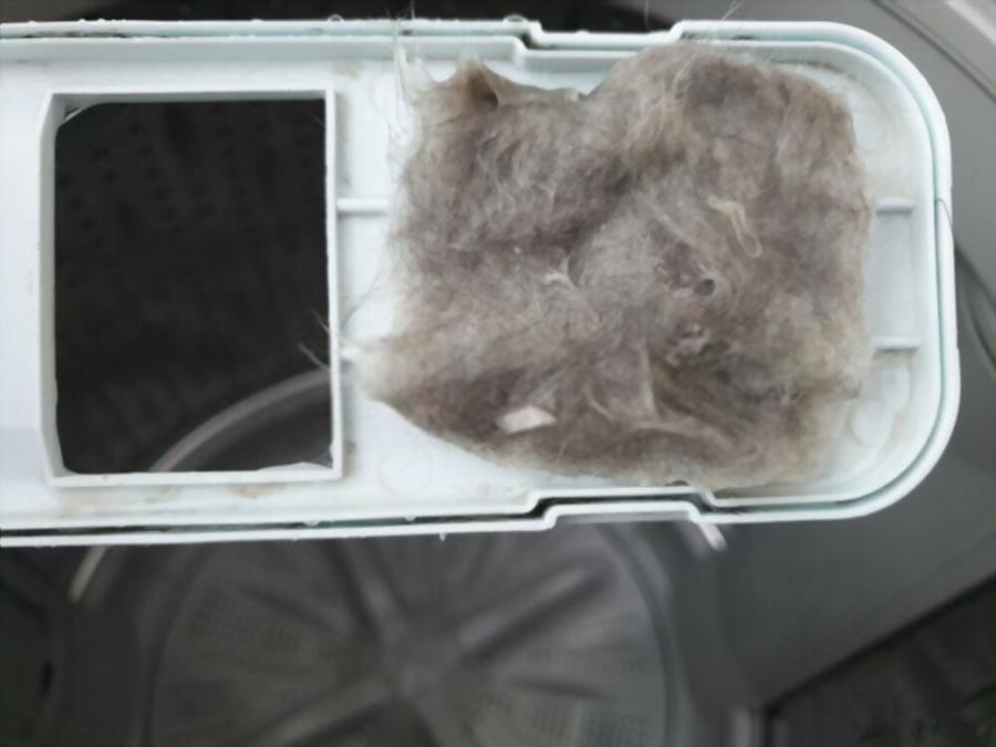 How to Get Rid of Dog Hair in Washing Machine (& Dryer) 10 Proven Tips