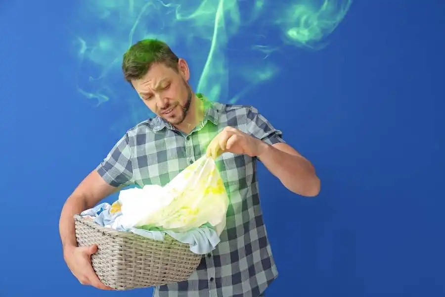 How To Get Cat Poop Out Of Clothes Proven Methods For Clean Clothes