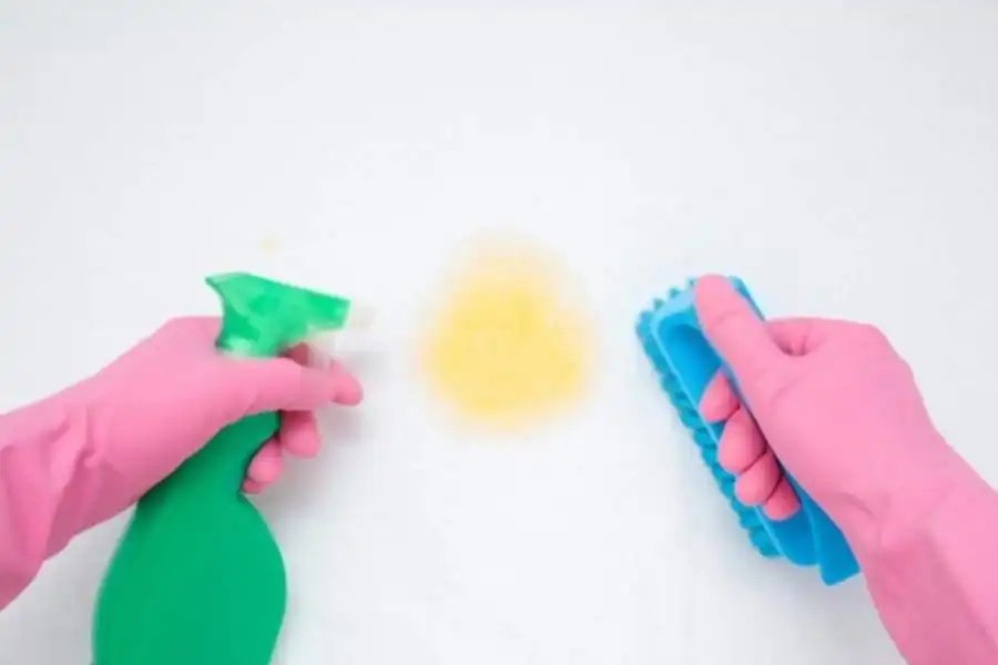 How to Get Cat Urine Smell Out of Clothes Ultimate Guide