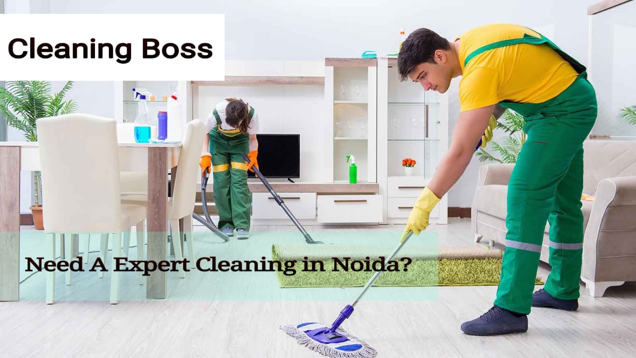 Sofa dry cleaning, Carpet Dry Cleaning, Mattress Dry Cleaning, Chair