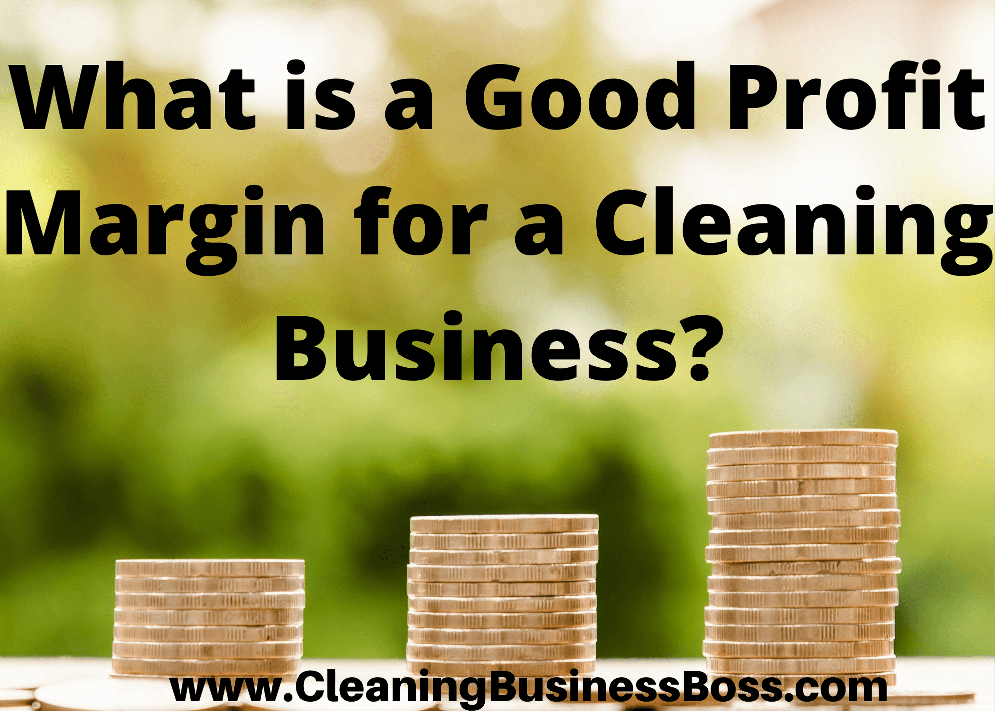 We Answer What is a Good Profit Margin for a Cleaning