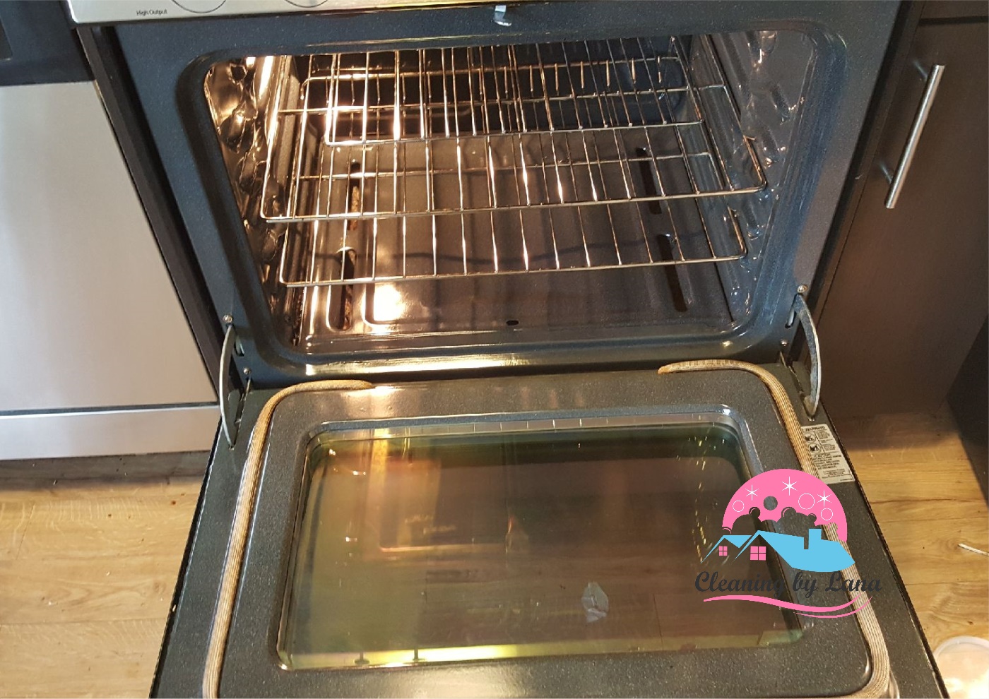 Residential and Commercial Cleaning Watertown, MA Cleaning by Lana