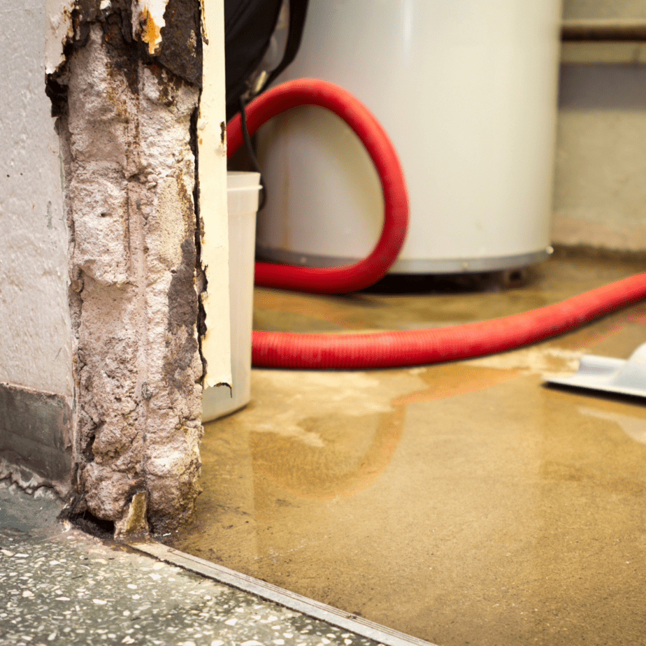 How To Get Insurance To Pay For Water Damage? CleaningPRO Auckland