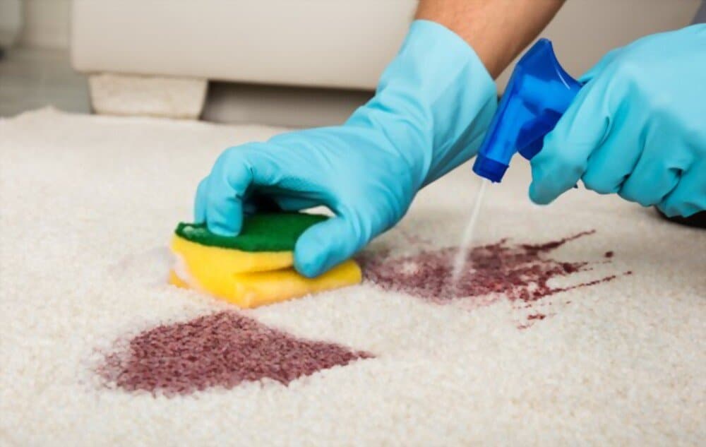 How To Get Stain Out Of Light Carpet at Robert Head blog