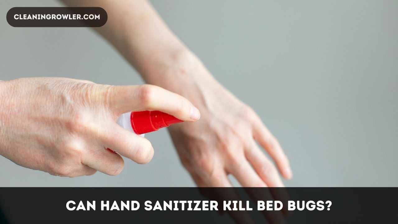 Can Hand Sanitizer Kill Bed Bugs? CleaninGrowler