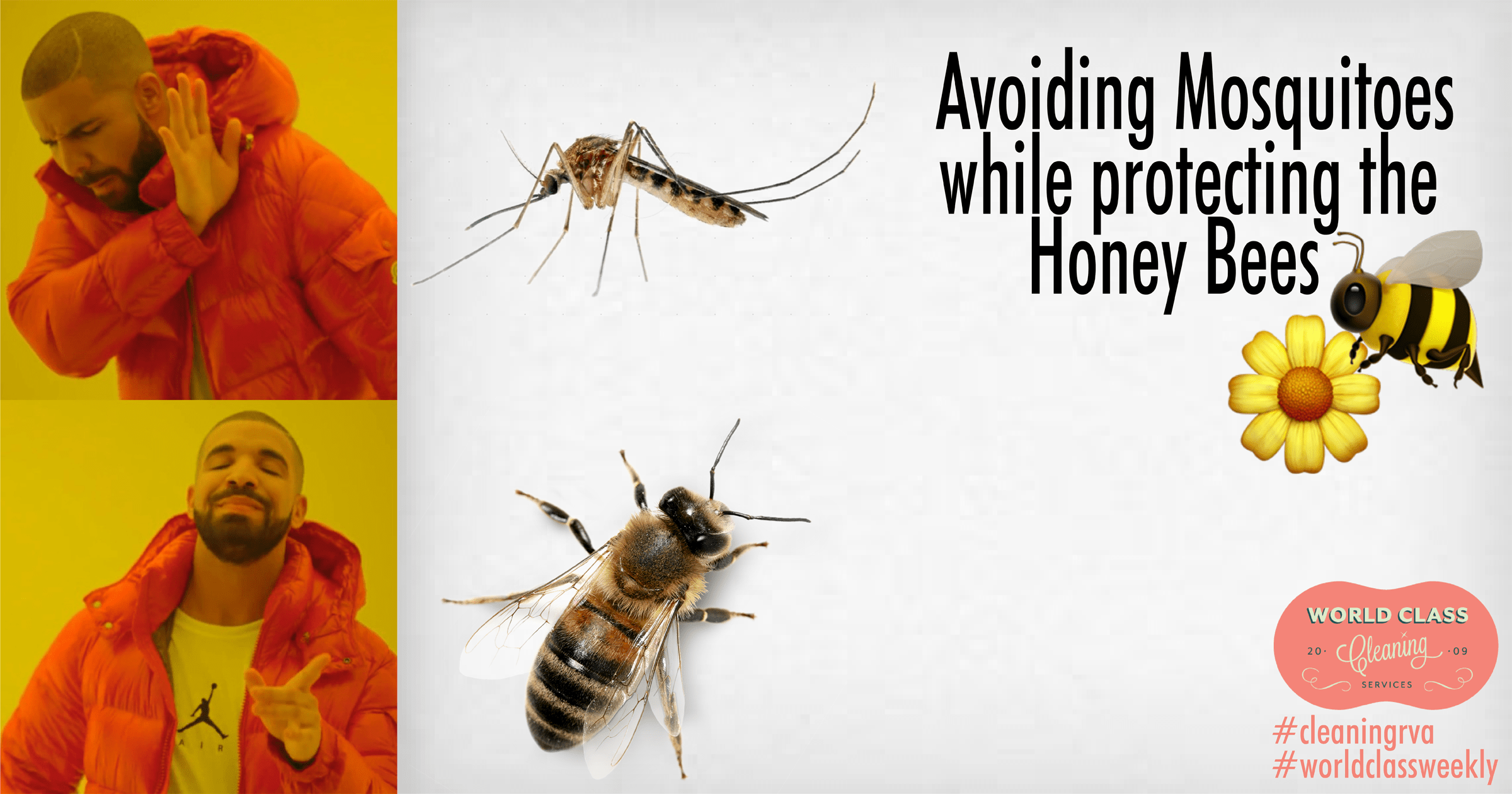 How to Prevent Mosquitoes while Protecting the Honey Bees World Class
