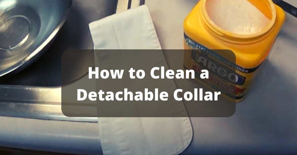 How to Clean a Detachable Collar? CleaningTuts