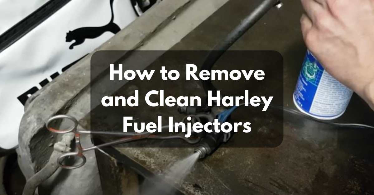 How to Remove and Clean Harley Fuel Injectors CleaningTuts
