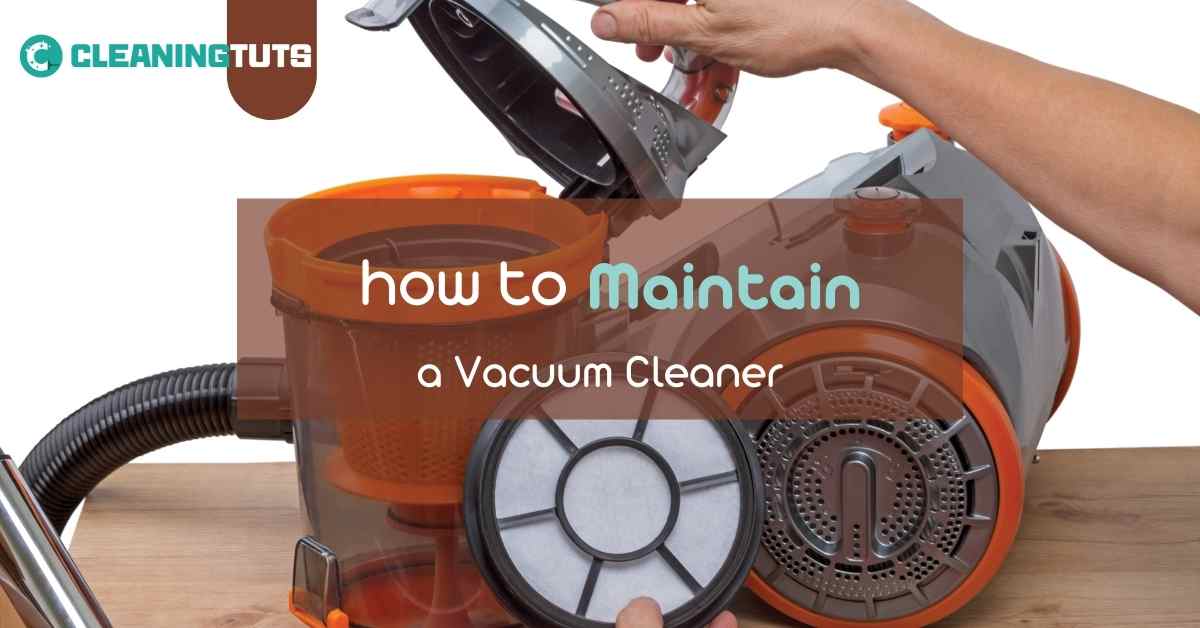 How to Maintain Vacuum Cleaner CleaningTuts