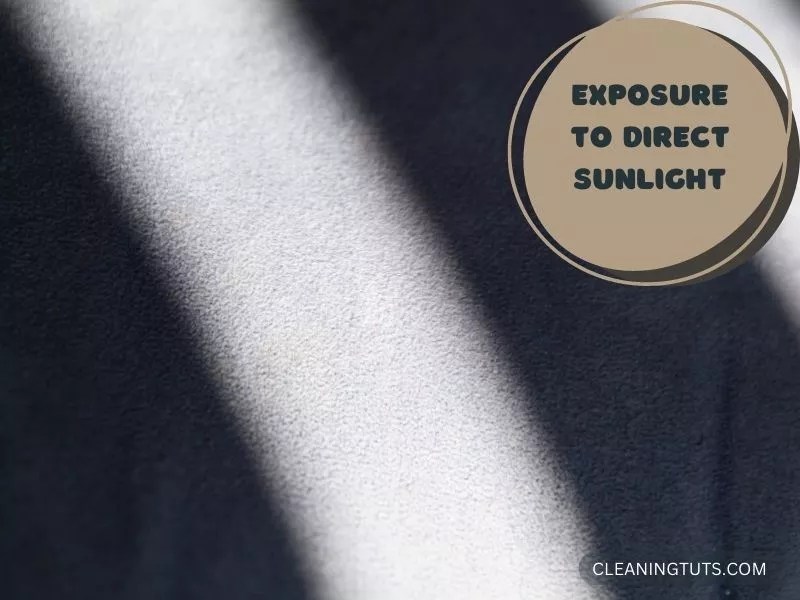 New Carpet Bubbling Up? 7 Things You Can Do at Home CleaningTuts