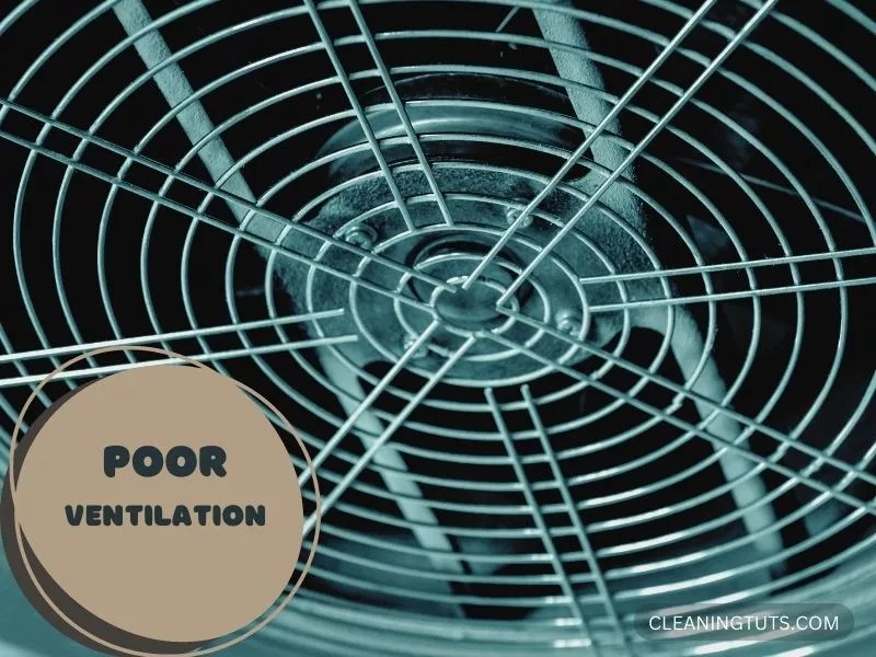 New Carpet Bubbling Up? 7 Things You Can Do at Home CleaningTuts