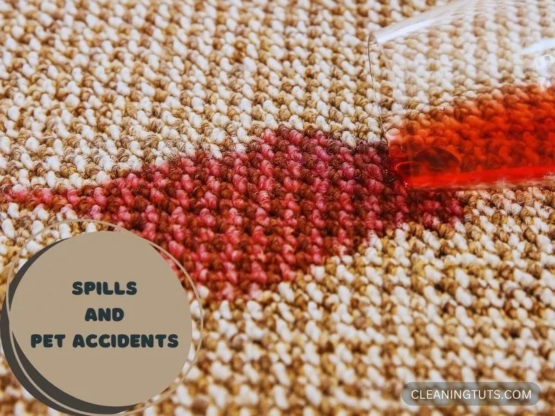 New Carpet Bubbling Up? 7 Things You Can Do at Home CleaningTuts
