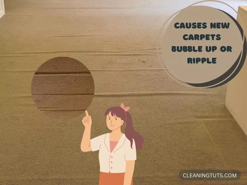 New Carpet Bubbling Up? 7 Things You Can Do at Home CleaningTuts