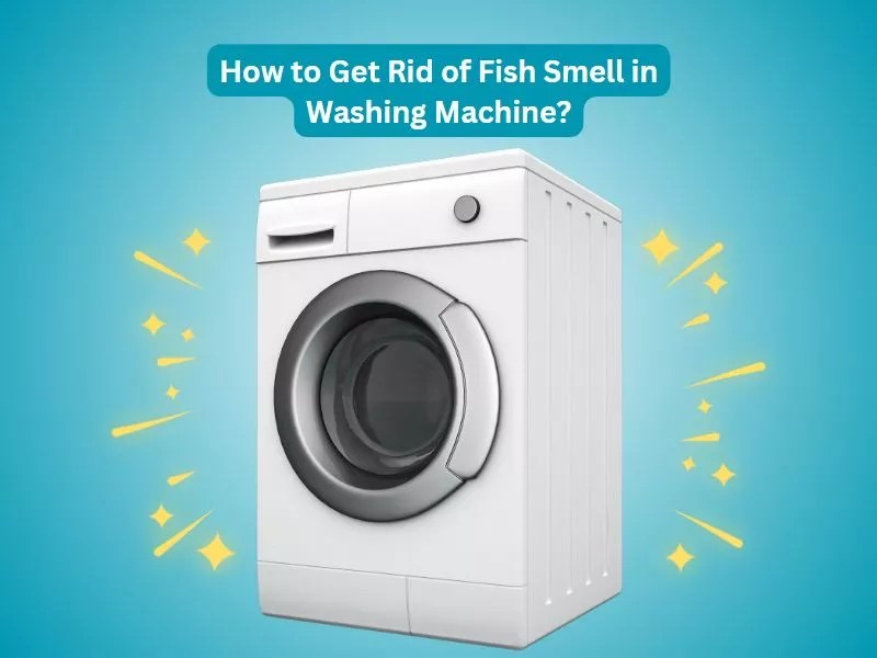Why Does My Washing Machine Smell Like Fish? CleaningTuts