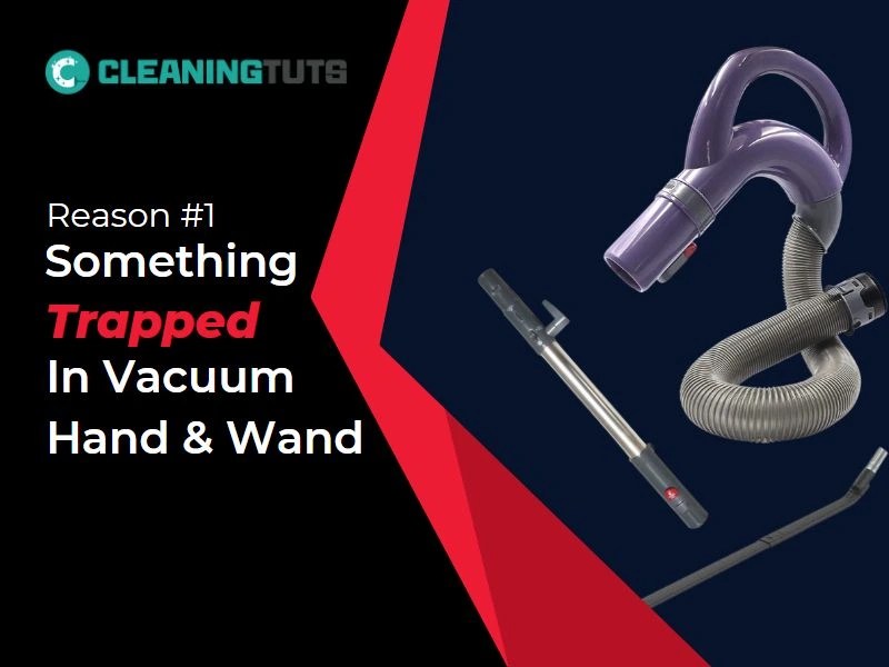 Why Is My Shark Vacuum Making a High Pitched Noise? CleaningTuts