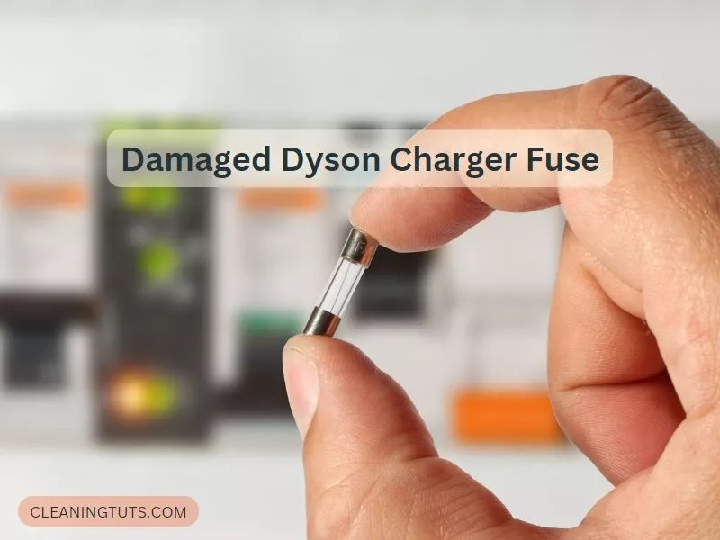 Help! My Dyson Not Charging Flashing Blue Light (Fixed) CleaningTuts
