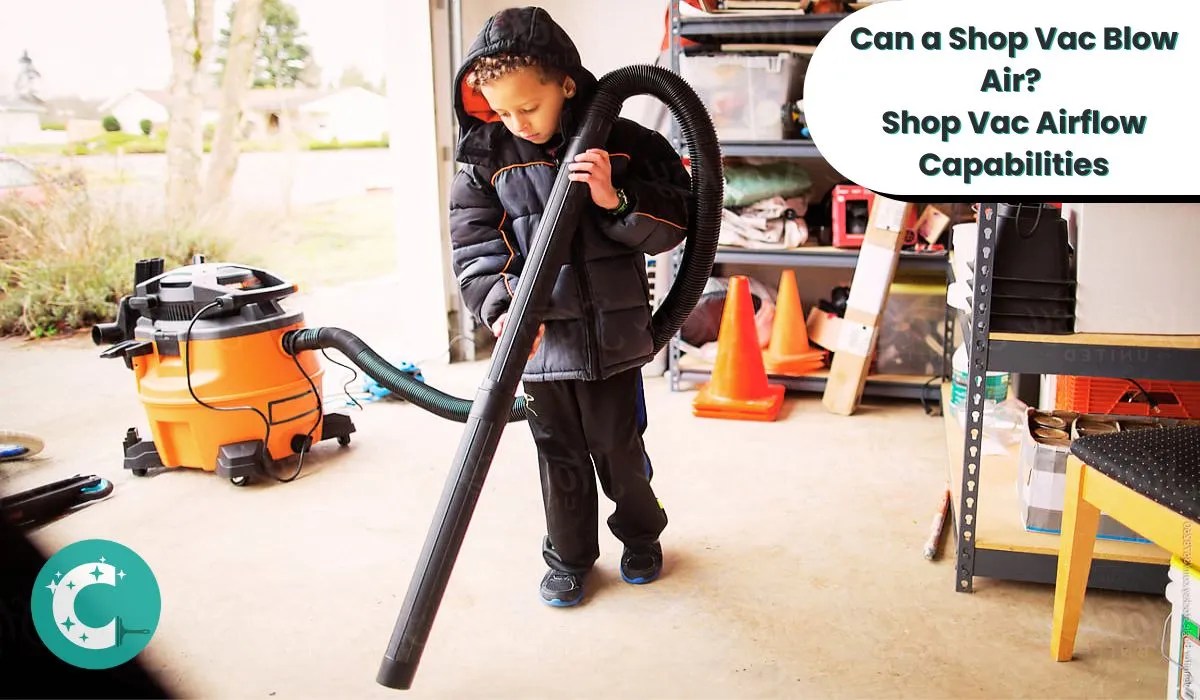 Can a Shop Vac Blow Air? Versatile Airflow Options