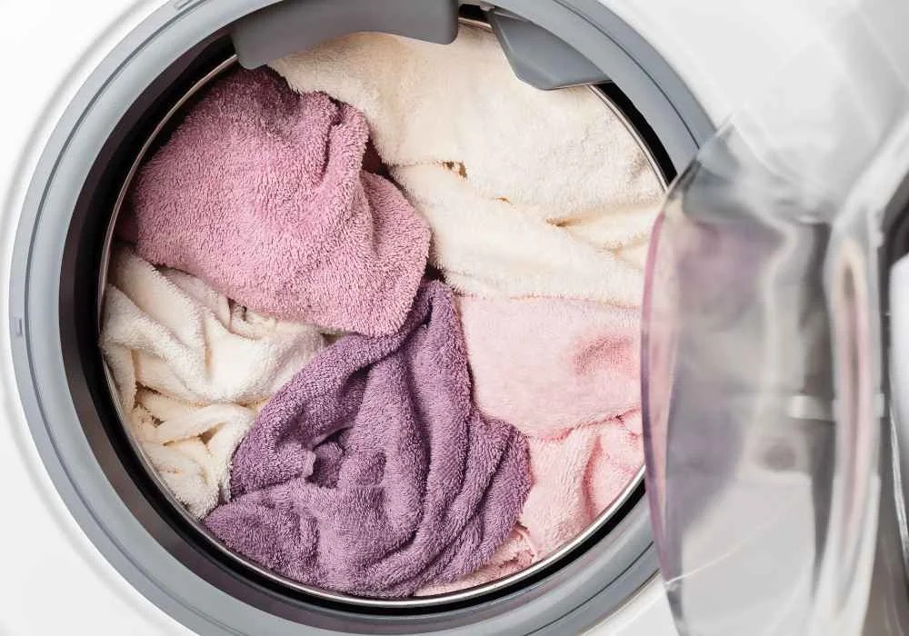 How to Clean Crocs With Fur in Washing Machine? Cleaninup