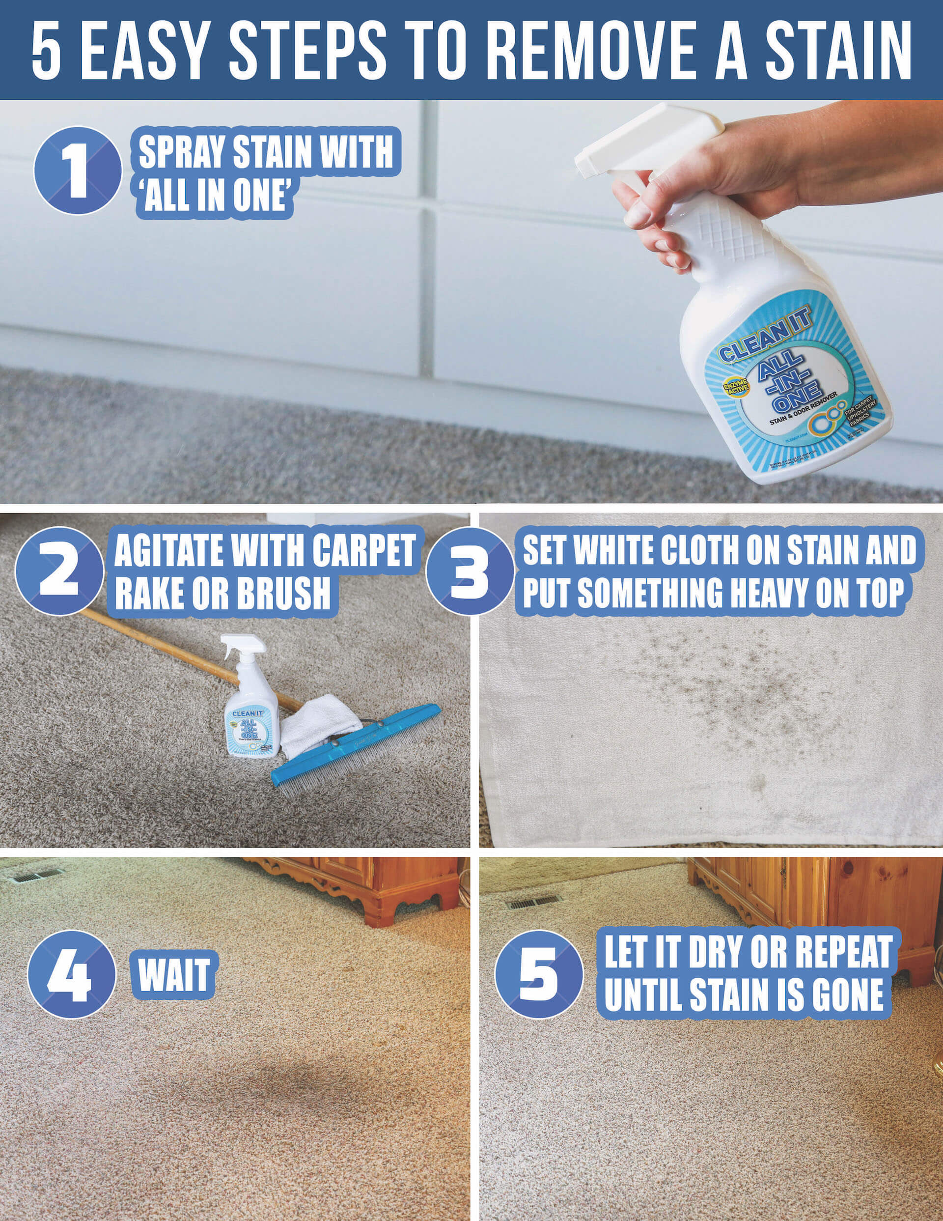 Stain & Odor Remover Cleanit
